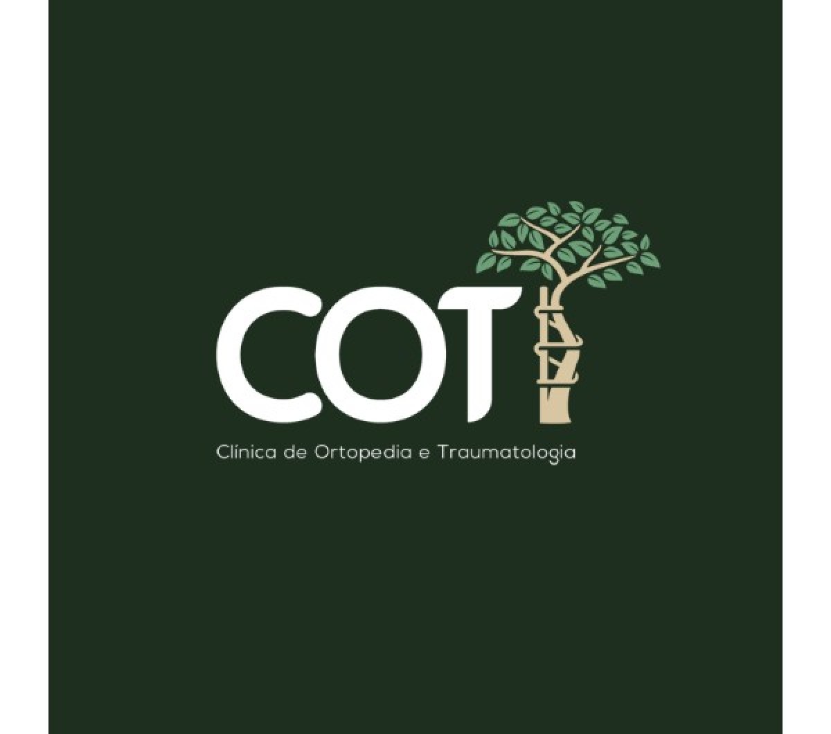 COT - CLINICA DE ORTOPEDIA E TRAUMATOLOGIA LTDA